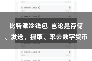 比特派冷钱包  岂论是存储、发送、摄取、来去数字货币