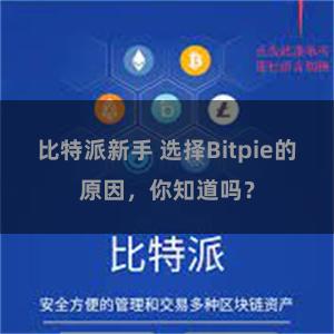 比特派新手 选择Bitpie的原因，你知道吗？