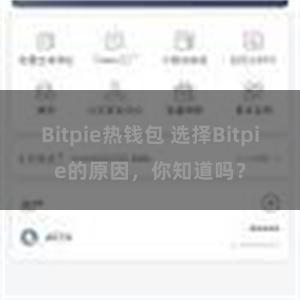 Bitpie热钱包 选择Bitpie的原因，你知道吗？