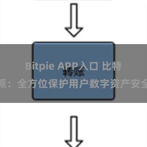 Bitpie APP入口 比特派：全方位保护用户数字资产安全