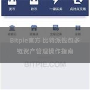 Bitpie官方 比特派钱包多链资产管理操作指南