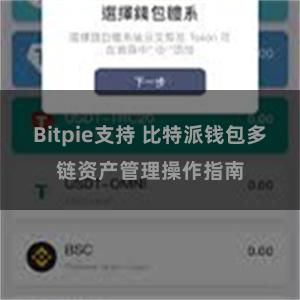 Bitpie支持 比特派钱包多链资产管理操作指南