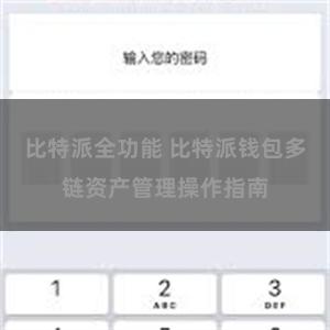 比特派全功能 比特派钱包多链资产管理操作指南