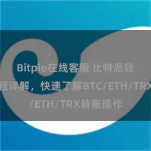 Bitpie在线客服 比特派钱包转账教程详解，快速了解BTC/ETH/TRX转账操作