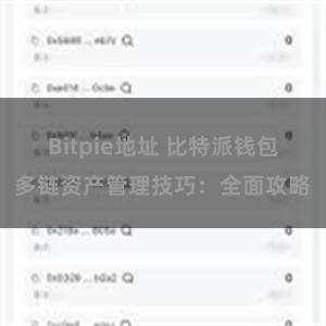 Bitpie地址 比特派钱包多链资产管理技巧：全面攻略