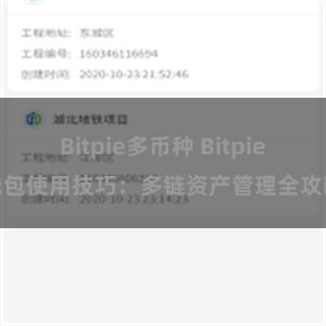 Bitpie多币种 Bitpie钱包使用技巧：多链资产管理全攻略