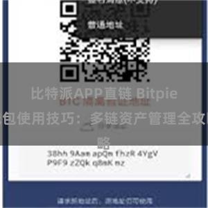 比特派APP直链 Bitpie钱包使用技巧：多链资产管理全攻略