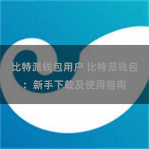 比特派钱包用户 比特派钱包：新手下载及使用指南