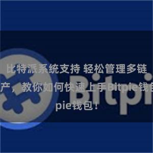 比特派系统支持 轻松管理多链资产，教你如何快速上手Bitpie钱包！