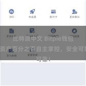 比特派中文 Bitpie钱包：资产百分之百自主掌控，安全可靠！