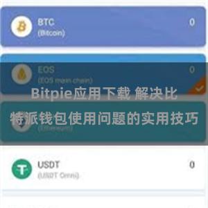 Bitpie应用下载 解决比特派钱包使用问题的实用技巧