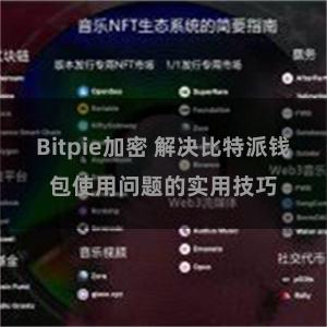 Bitpie加密 解决比特派钱包使用问题的实用技巧