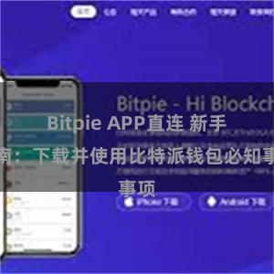 Bitpie APP直连 新手指南：下载并使用比特派钱包必知事项