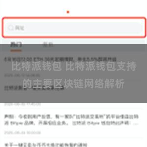 比特派钱包 比特派钱包支持的主要区块链网络解析