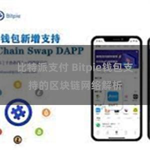 比特派支付 Bitpie钱包支持的区块链网络解析