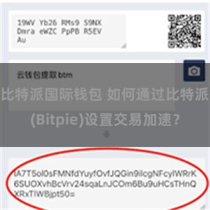 比特派国际钱包 如何通过比特派(Bitpie)设置交易加速？