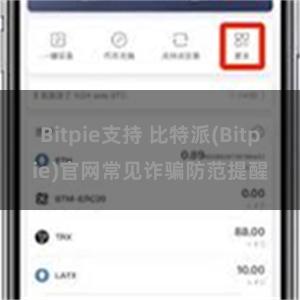 Bitpie支持 比特派(Bitpie)官网常见诈骗防范提醒