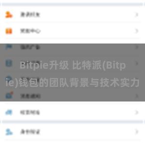 Bitpie升级 比特派(Bitpie)钱包的团队背景与技术实力