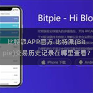 比特派APP官方 比特派(Bitpie)交易历史记录在哪里查看？