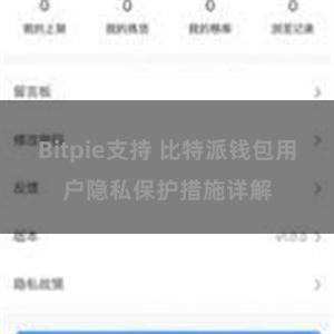 Bitpie支持 比特派钱包用户隐私保护措施详解