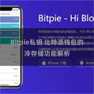 Bitpie私钥 比特派钱包的冷存储功能解析