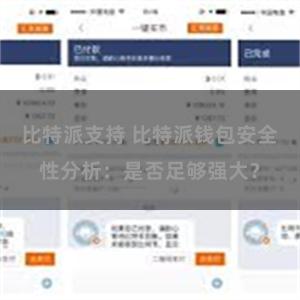 比特派支持 比特派钱包安全性分析：是否足够强大？