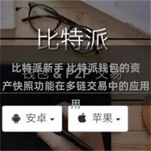 比特派新手 比特派钱包的资产快照功能在多链交易中的应用
