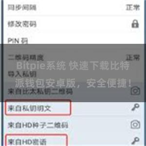 Bitpie系统 快速下载比特派钱包安卓版，安全便捷！