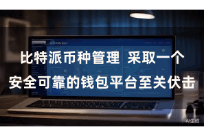 比特派币种管理  采取一个安全可靠的钱包平台至关伏击