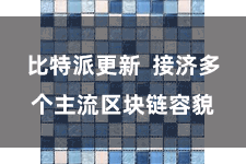 比特派更新 接济多个主流区块链容貌